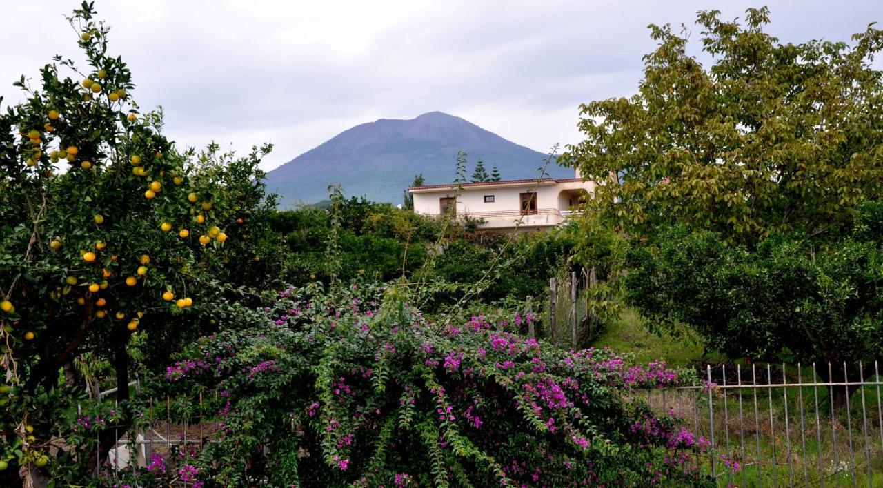B&B Casa Di Donna Trecase Luaran gambar