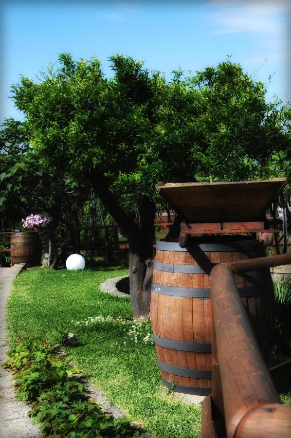 B&B Casa Di Donna Trecase Luaran gambar